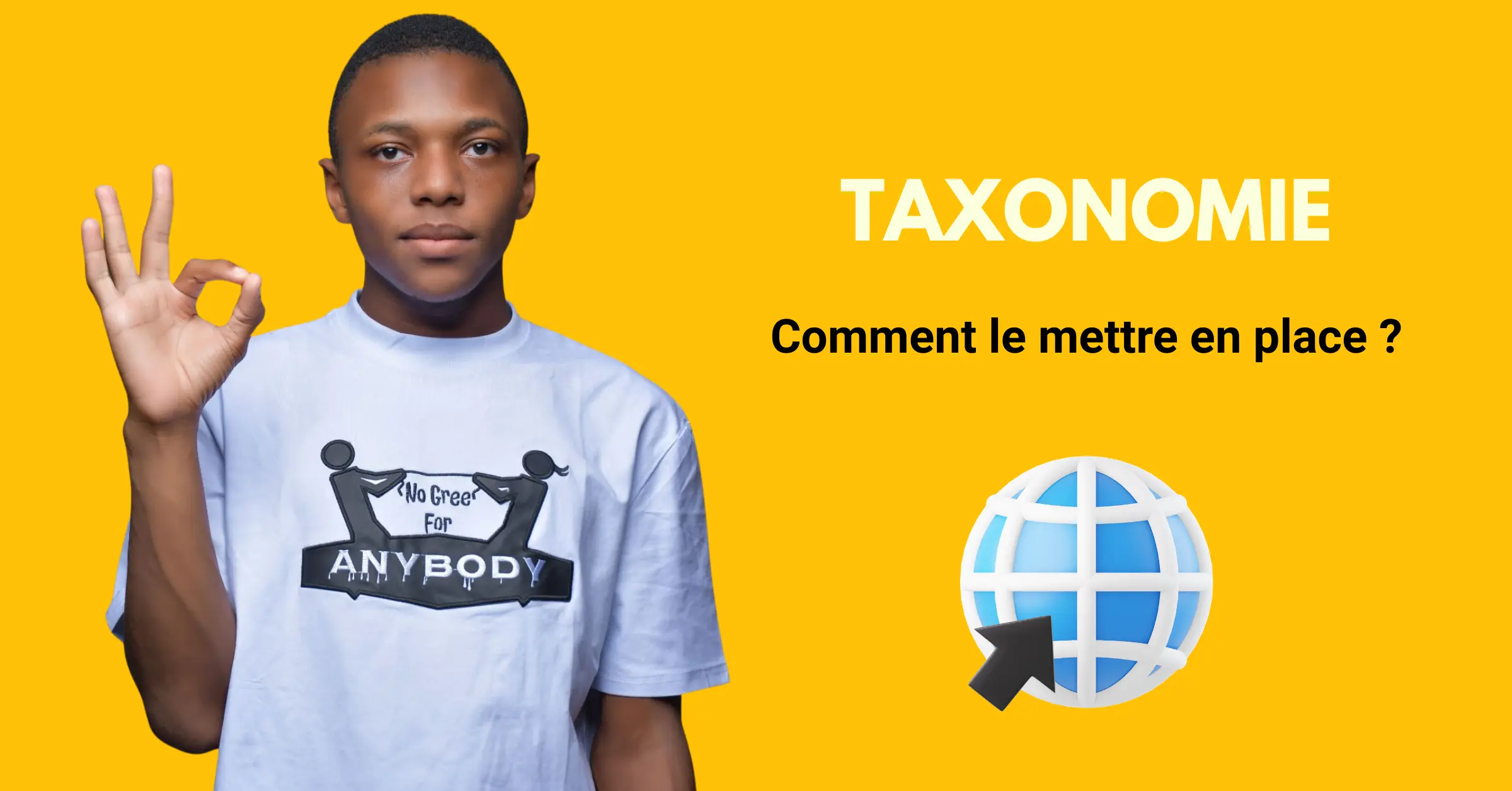 C'est quoi la taxonomie sur un site web